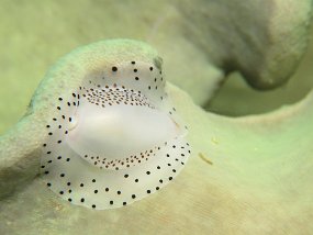 IMG_1712