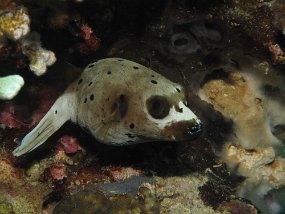 IMG_1713
