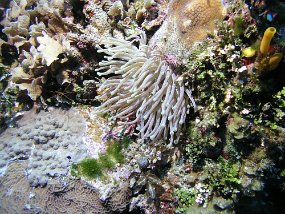 PB160937