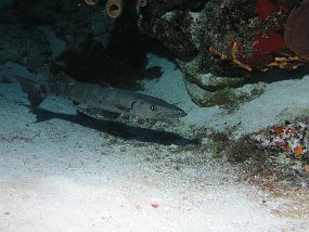 PB160940
