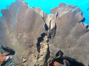 PB160962