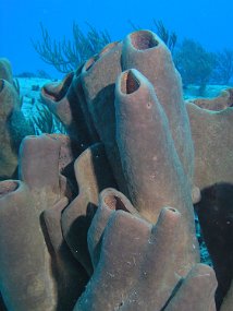 PB160971