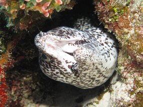 Cozumel2009 (12)