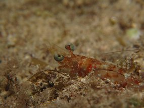 Cozumel2009 (125)