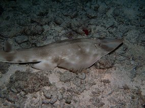 Cozumel2009 (128)