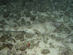 Cozumel2009 (131)