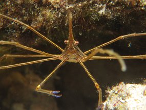 Cozumel2009 (174)