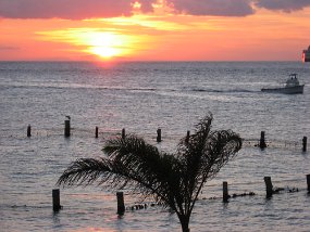 Cozumel2009 (176)
