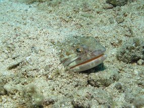 Cozumel2009 (29)