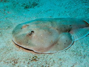 Cozumel2009 (47)