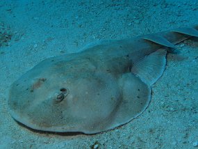 Cozumel2009 (48)