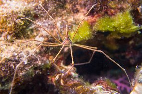 Cozumel 2016-150
