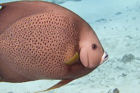 Cozumel 2016-164
