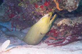 Cozumel 2016-182