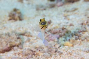 Cozumel 2016-214