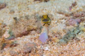 Cozumel 2016-234