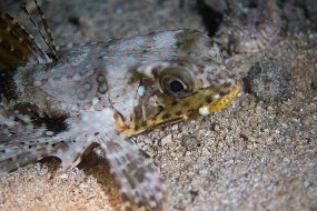 Cozumel 2016-242