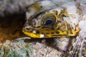 Cozumel 2016-244