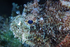 Cozumel 2016-260