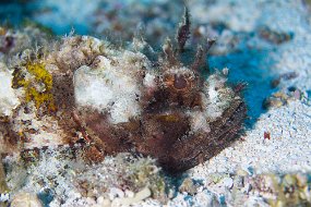 Cozumel 2016-327