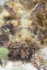 Cozumel 2016-347