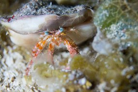 Cozumel 2016-351