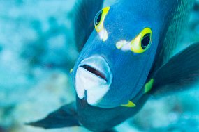 Cozumel 2016-394