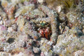 Cozumel 2016-421