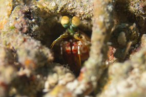 Cozumel 2016-426