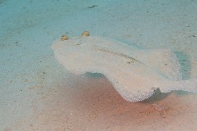 Cozumel 2016-473