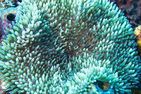 Cozumel 2016-48