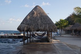 Cozumel 2016-556