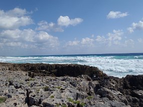 Cozumel 2016-561