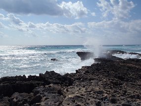 Cozumel 2016-562