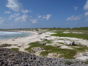 Cozumel 2016-563