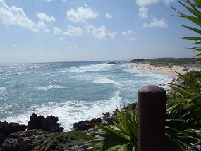 Cozumel 2016-564