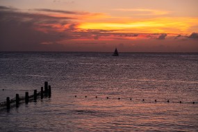 Cozumel 2021-101