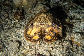 Cozumel 2021-126