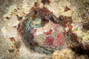 Cozumel 2021-127