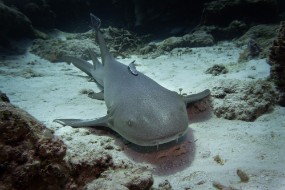 Cozumel 2021-13