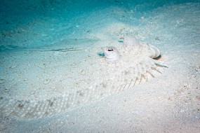 Cozumel 2021-132