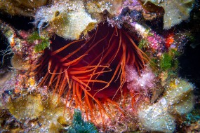Cozumel 2021-168