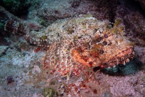 Cozumel 2021-183