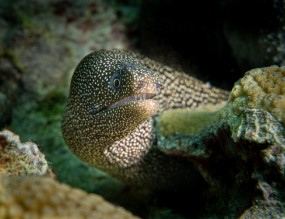 Cozumel 2021-19