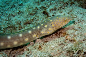 Cozumel 2021-193