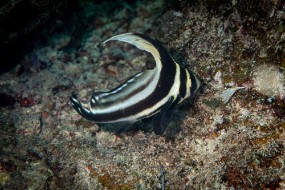 Cozumel 2021-199