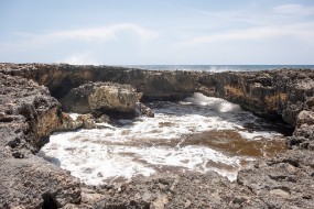 Cozumel 2021-212