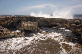 Cozumel 2021-215