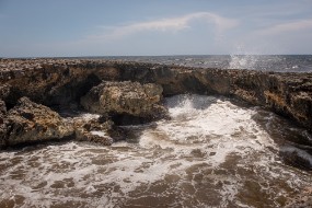 Cozumel 2021-220
