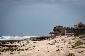 Cozumel 2021-247